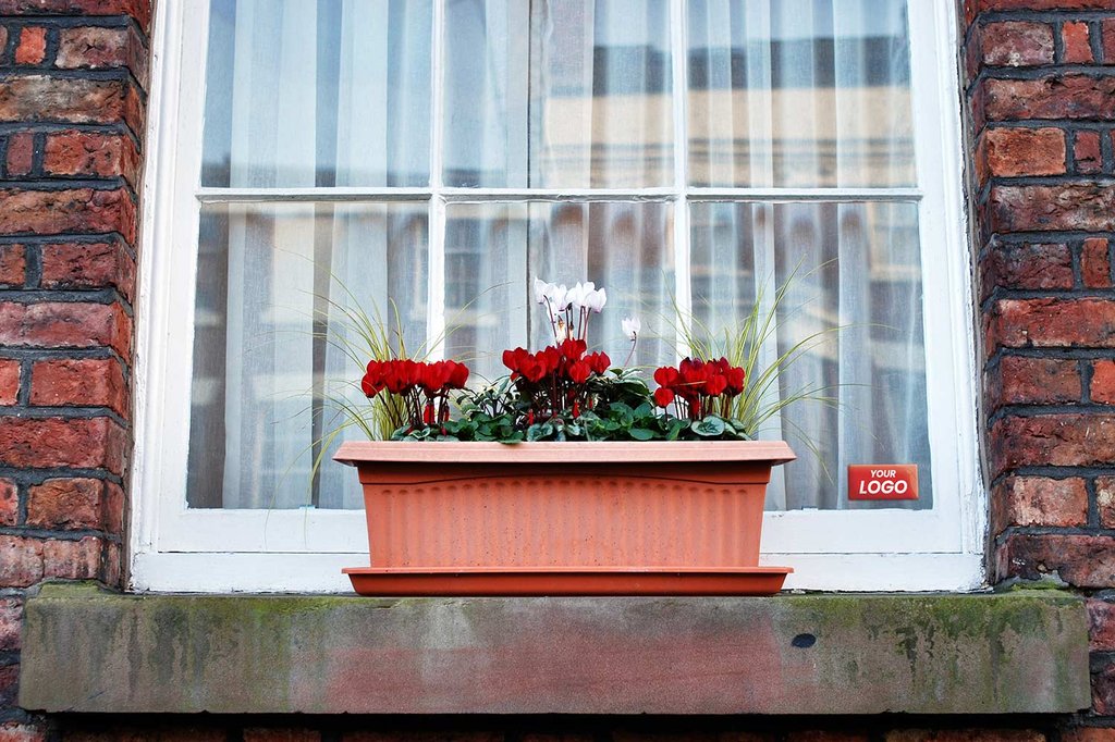 Window with flowers